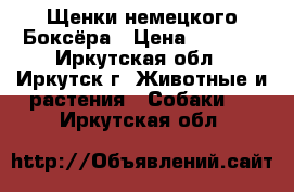 Щенки немецкого Боксёра › Цена ­ 8 000 - Иркутская обл., Иркутск г. Животные и растения » Собаки   . Иркутская обл.